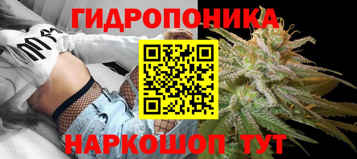 Канабис план  Марихуана семена  Нижнеудинск  Вход с VPN  Каннабис планчик  Бошки марихуана SATIVA & INDICA 